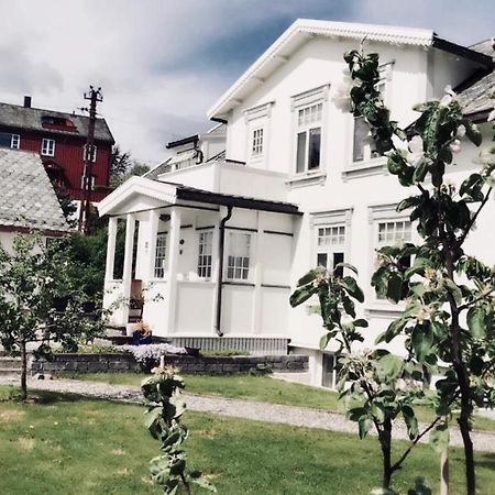 Bo I Historisk Bygning, Kort Vei Til Sentrum Trondheim Esterno foto