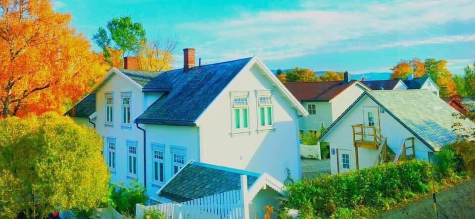 Bo I Historisk Bygning, Kort Vei Til Sentrum Trondheim Esterno foto